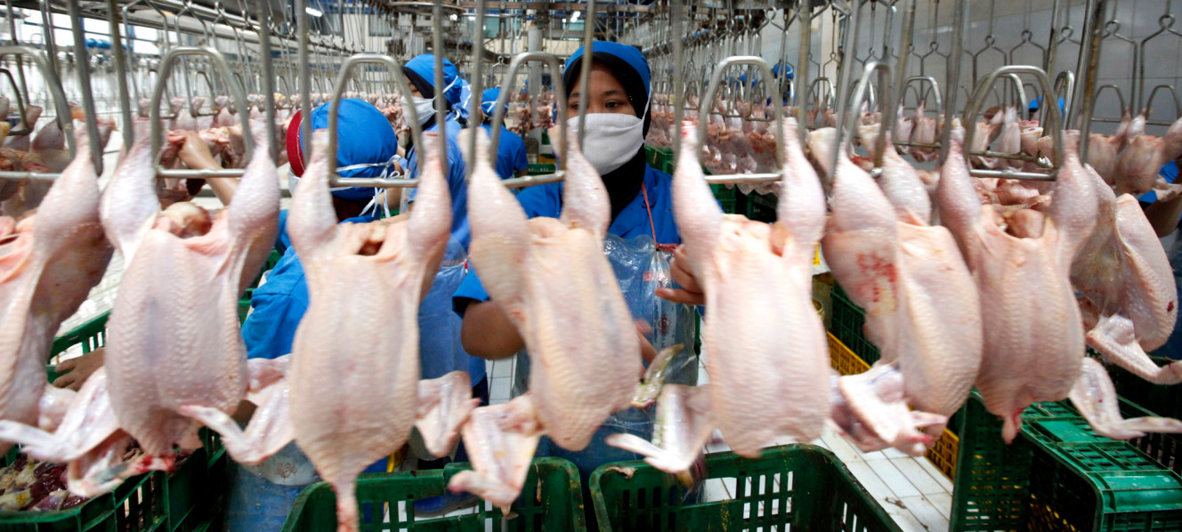 Southeast Asia a 'hotspot' for antibiotic abuse, FAO official says