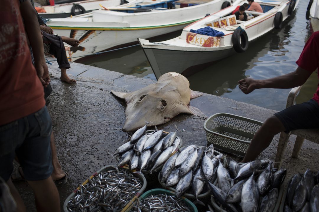 Southeast Asia’s Fisheries Near Collapse from Overfishing 1 Southeast Asia’s Fisheries Near Collapse from Overfishing