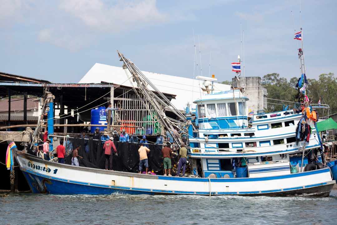 Southeast Asia’s Fisheries Near Collapse from Overfishing 2 Southeast Asia’s Fisheries Near Collapse from Overfishing