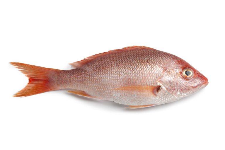 18 Common Foods You’re Eating That Are Probably Fake 11 18 Common Foods You’re Eating That Are Probably Fake