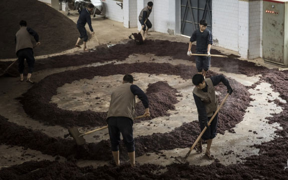 Asia falling out of love with rice as new wave of superfoods make their way onto dining tables