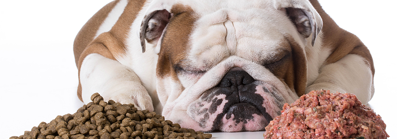 10 Types of Lies on Dog Food Labels 8 10 Types of Lies on Dog Food Labels