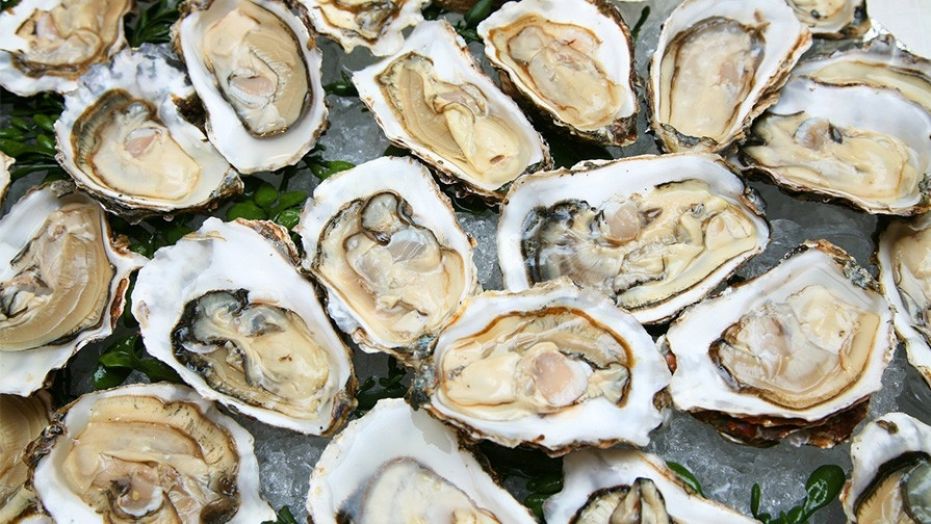 Foods You Should Avoid During Vacation