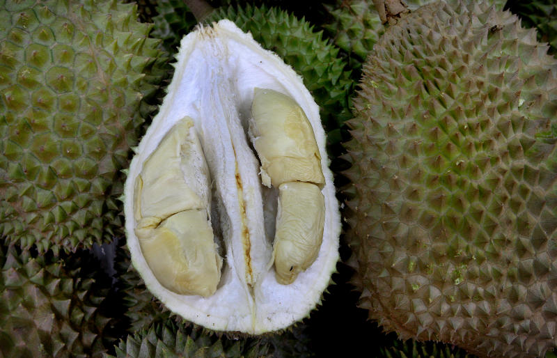 Try before Die: 10 Different Types of Durian & How to Tell Them Apart 10 Try before Die: 10 Different Types of Durian & How to Tell Them Apart
