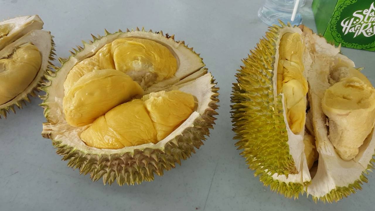 Try before Die: 10 Different Types of Durian & How to Tell Them Apart 4 Try before Die: 10 Different Types of Durian & How to Tell Them Apart