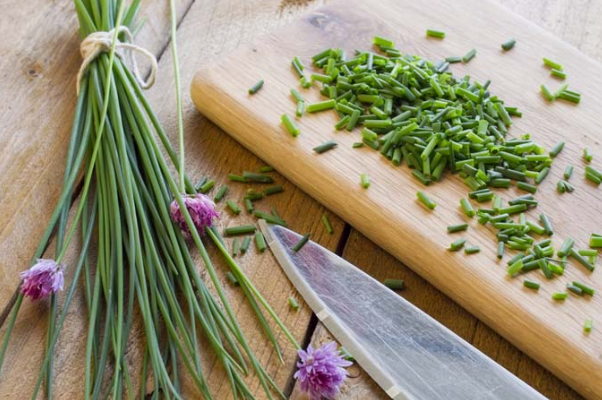 Super-Veggies: List of vegetables you should be eating more of, according to Food Experts 12 Super-Veggies: List of vegetables you should be eating more of, according to Food Experts