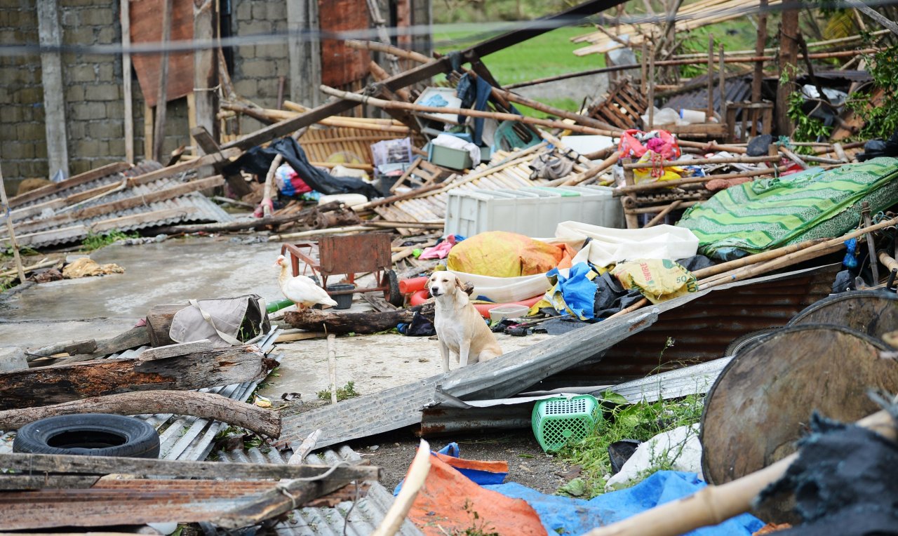Singapore’s Reduced FOOD SUPPLY: Typhoon Mangkhut Destroys Rice, Corn & Fish