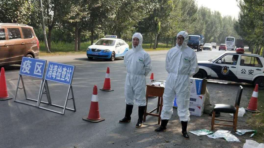 U.N. Calls Emergency Meeting in Asia as China Battles African Swine Fever
