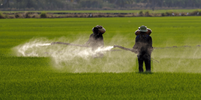 Weed Killer Chemical Found in Breakfast Foods, Researcher Says 1 Weed Killer Chemical Found in Breakfast Foods, Researcher Says