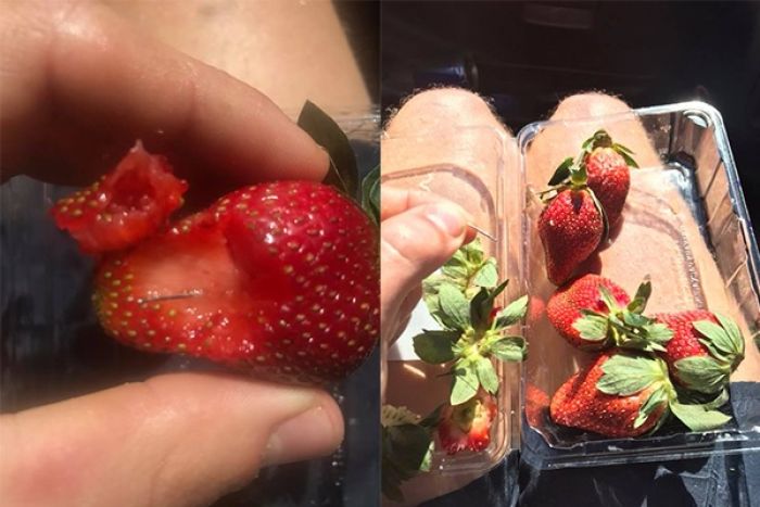 Food Terrorism: Needles in strawberries across Australia 1 Food Terrorism: Needles in strawberries across Australia