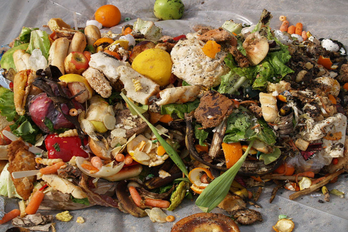 Food Poisoning Ruining Your Trip?  – Here's What You Can Do