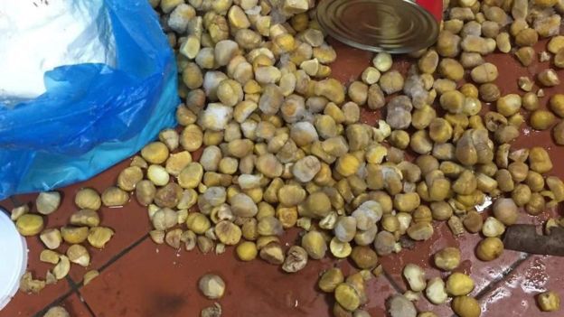 Rage over ‘Sickening’ Food Found In Chinese School Kitchen﻿
