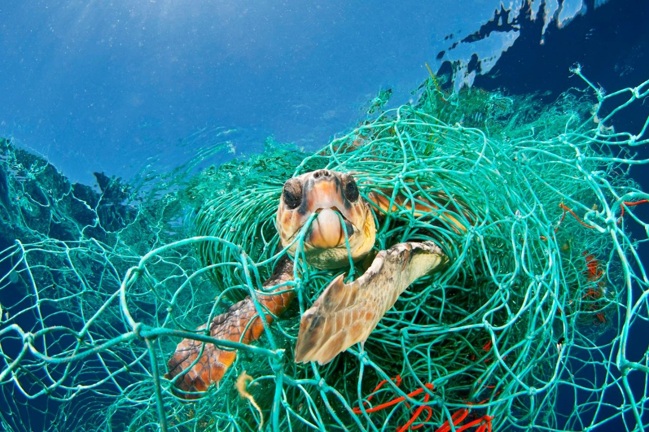 Chinese Corporations Sign Deal to Fish in Somali Waters﻿