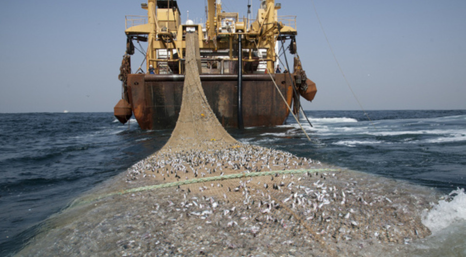Chinese Corporations Sign Deal to Fish in Somali Waters﻿
