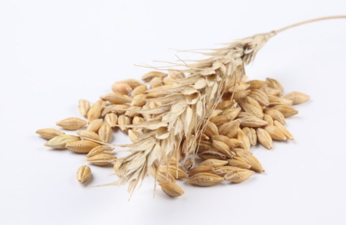 9 Reasons Why You Should Eat More Oats 2 9 Reasons Why You Should Eat More Oats