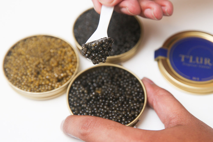 Malaysia Is Now a Producer of Caviar