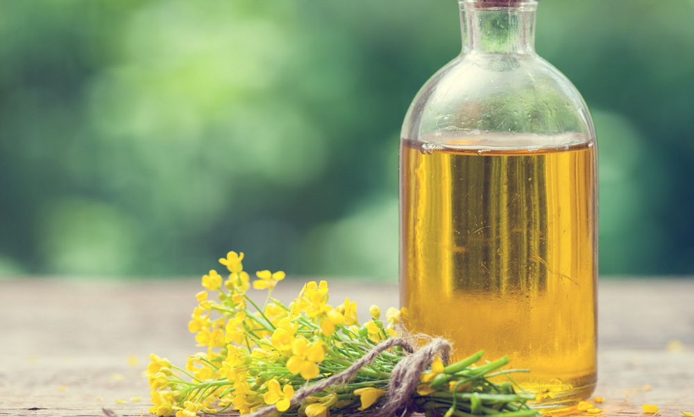 The Types of Oil And Their Uses