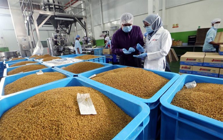 Cat food factory DPO International Cat food factory DPO International