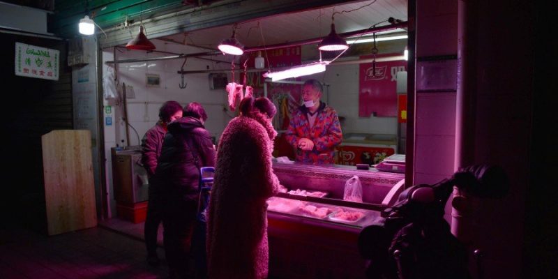 china ban consumption of wild animal