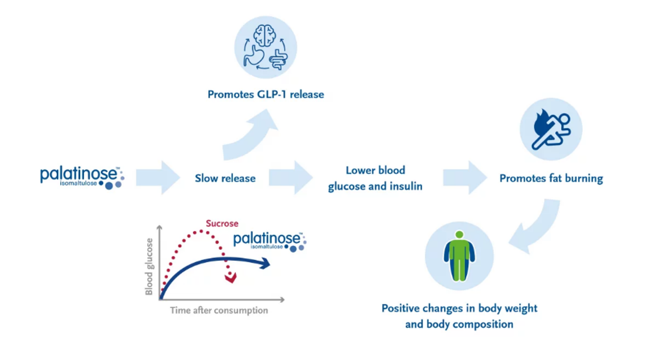GLP-1 Isomaltulose