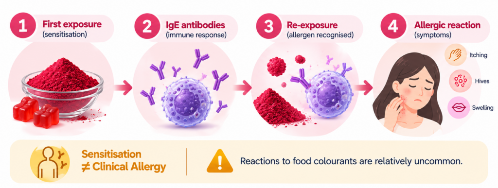 How Food Colouring Triggers Allergic Response